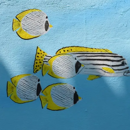 Rainbow By Blausitges *